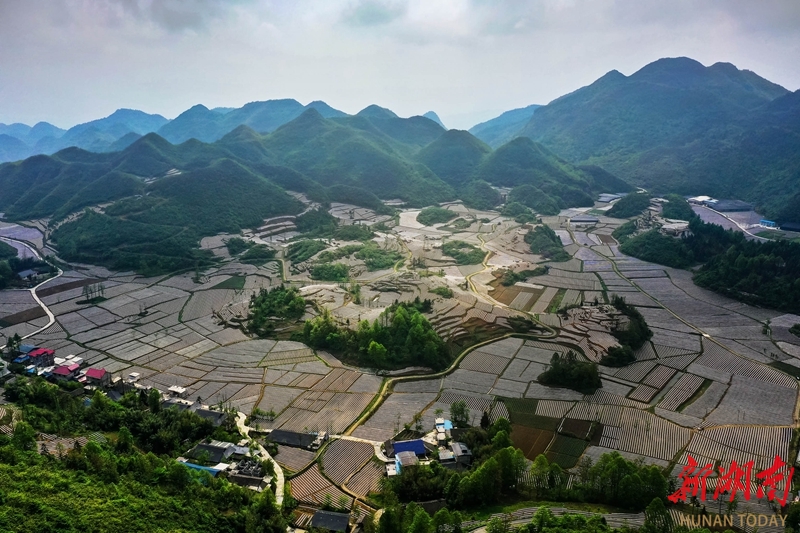 大地披银装