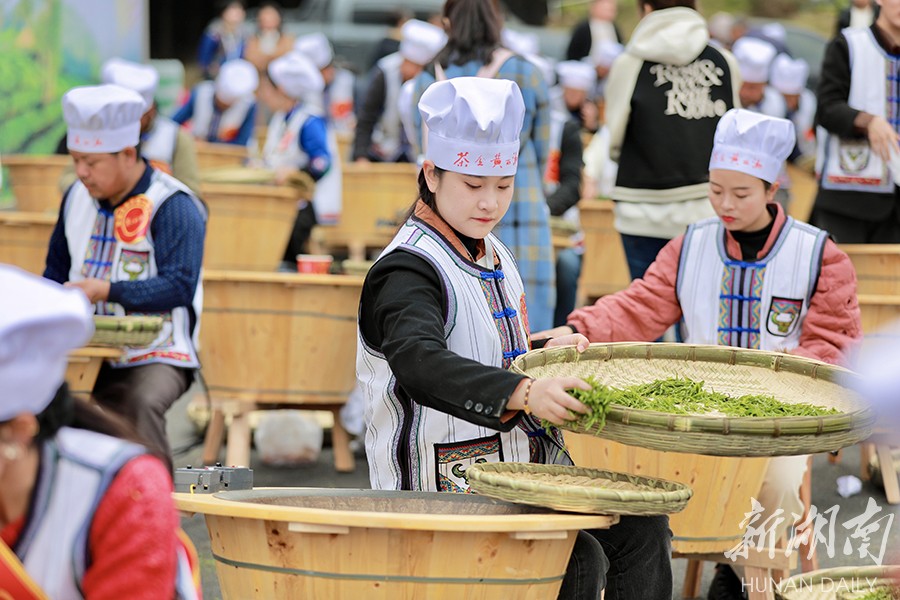 茶旅融合助力乡村振兴