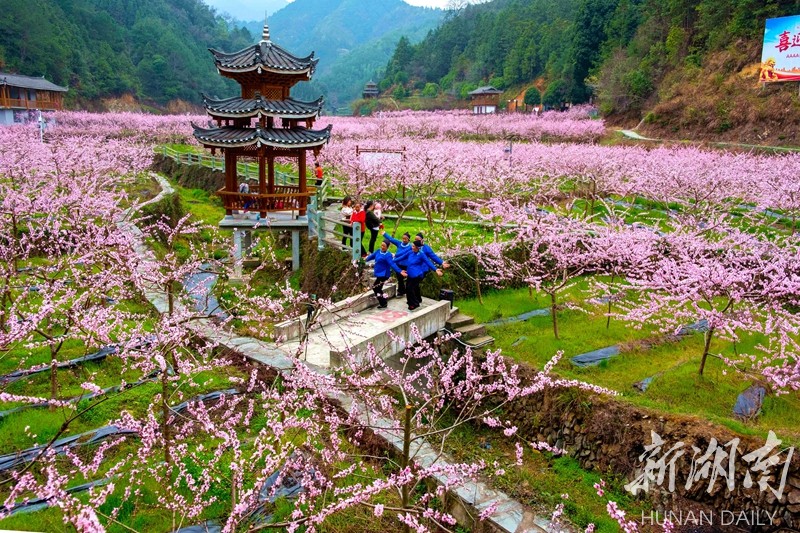 一村一花迎客来